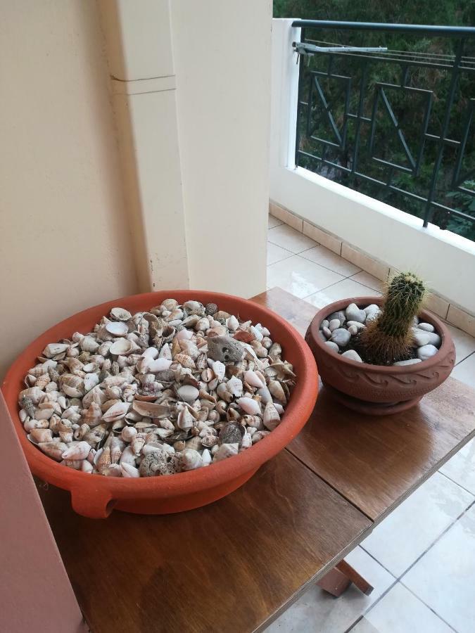 Quiet Spacious Apartment In Anabolu Dış mekan fotoğraf